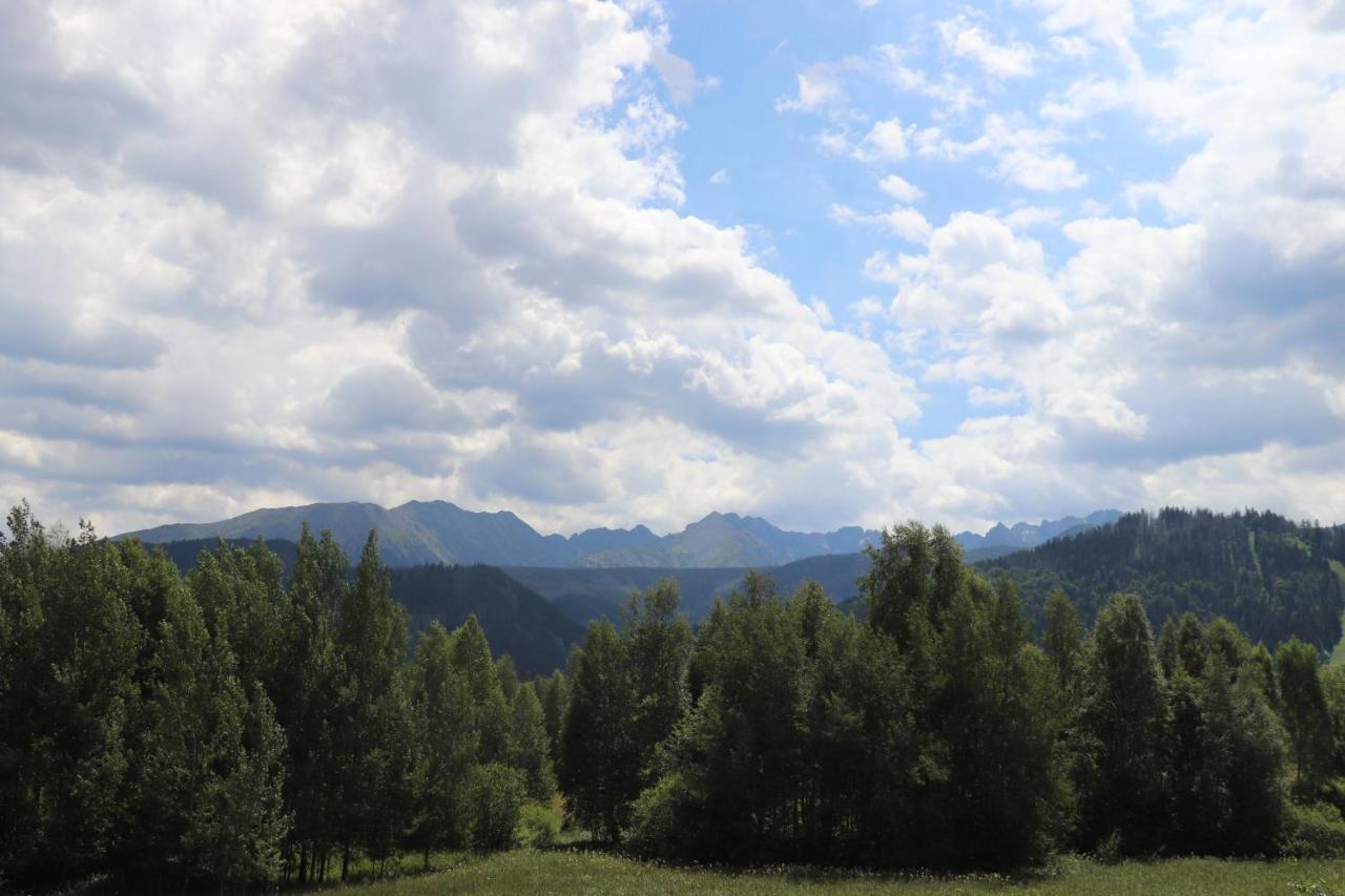 Pardalowka 50 * Zakopane